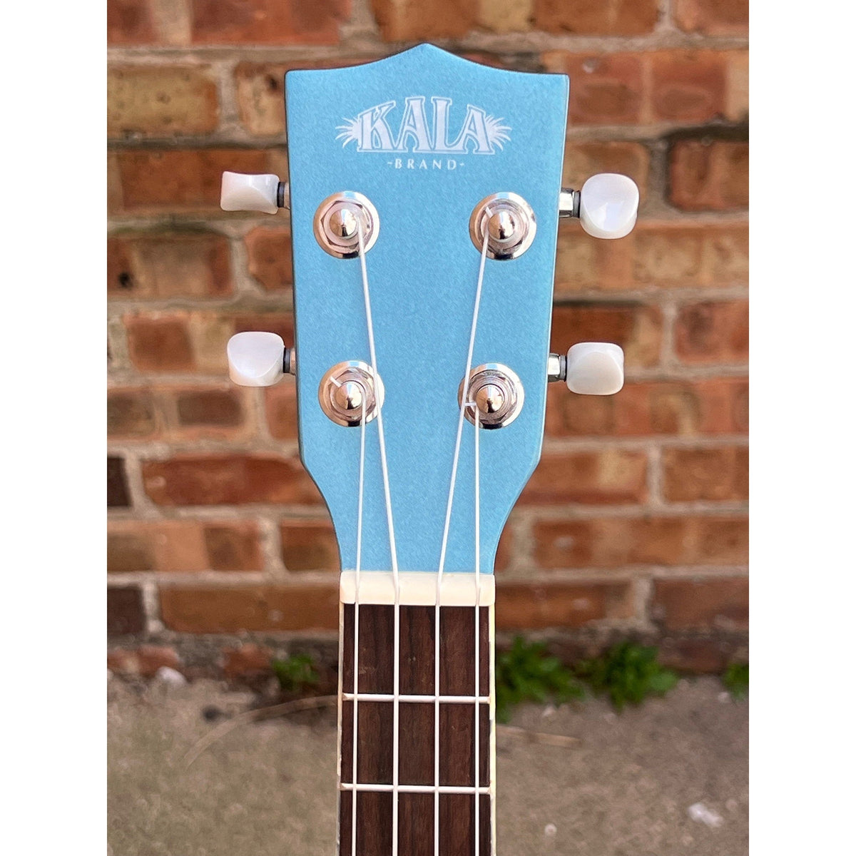 Kala Lake Shore Blue Archtop Tenor Ukulele