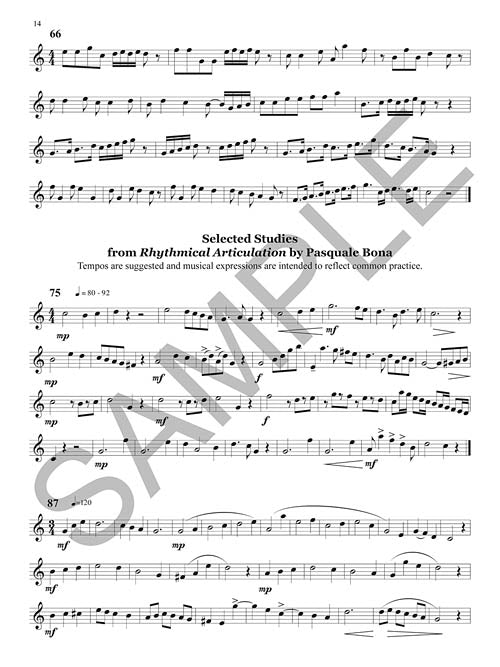 The Break: Mastering the Middle Register of the Clarinet by Paula Corley