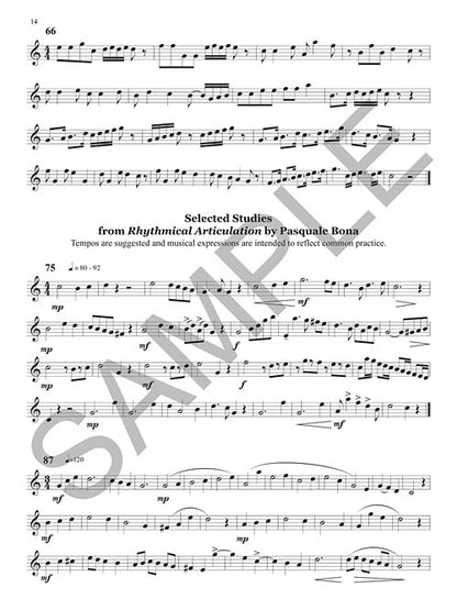 The Break: Mastering the Middle Register of the Clarinet by Paula Corley