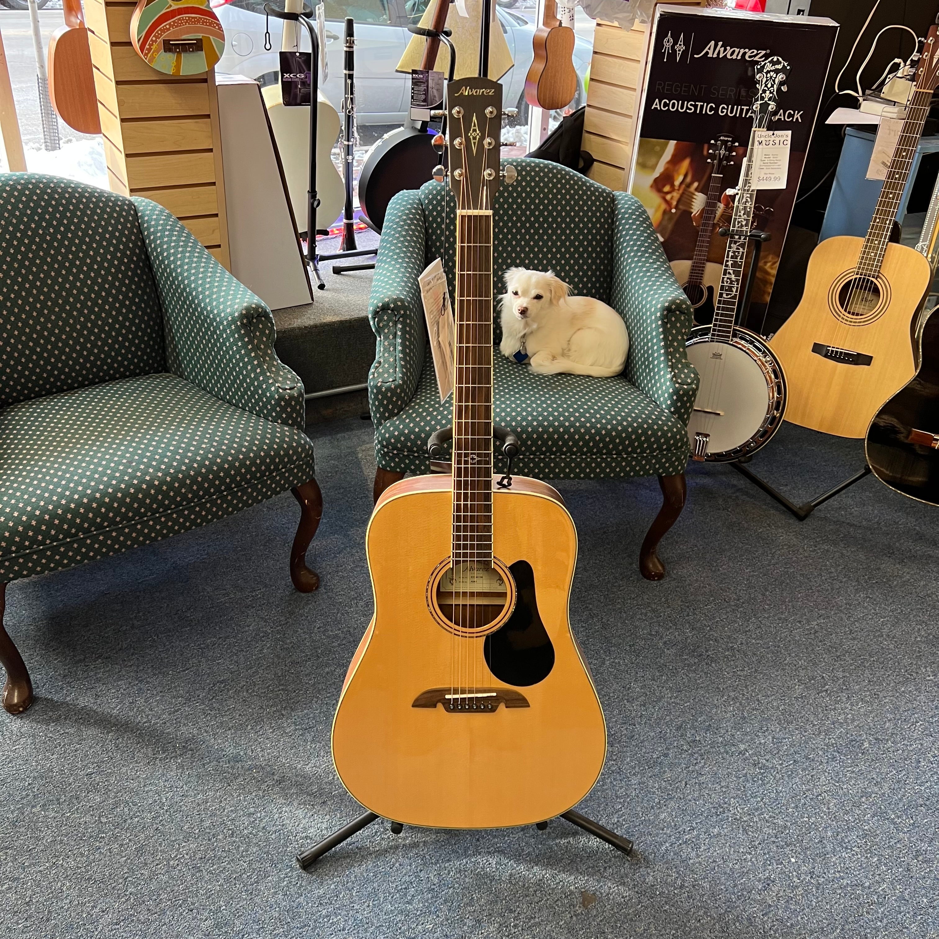 Alvarez AD60 Artist Dreadnought