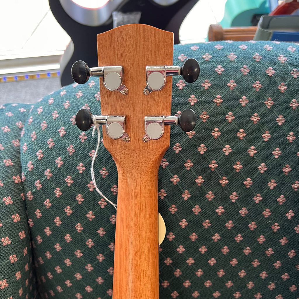 Alvarez Regent Concert Ukulele Package with bag & Tuner