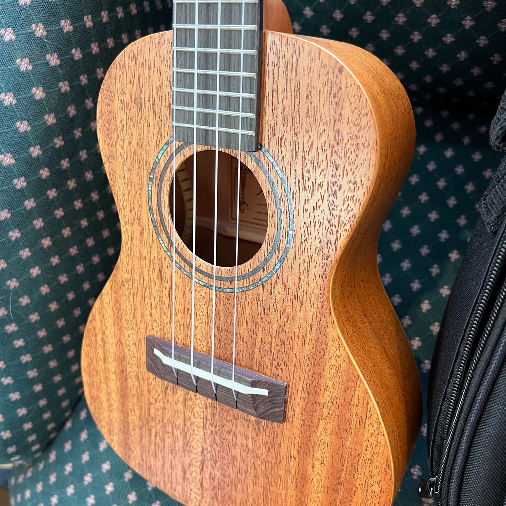 Alvarez Regent Concert Ukulele Package with bag & Tuner