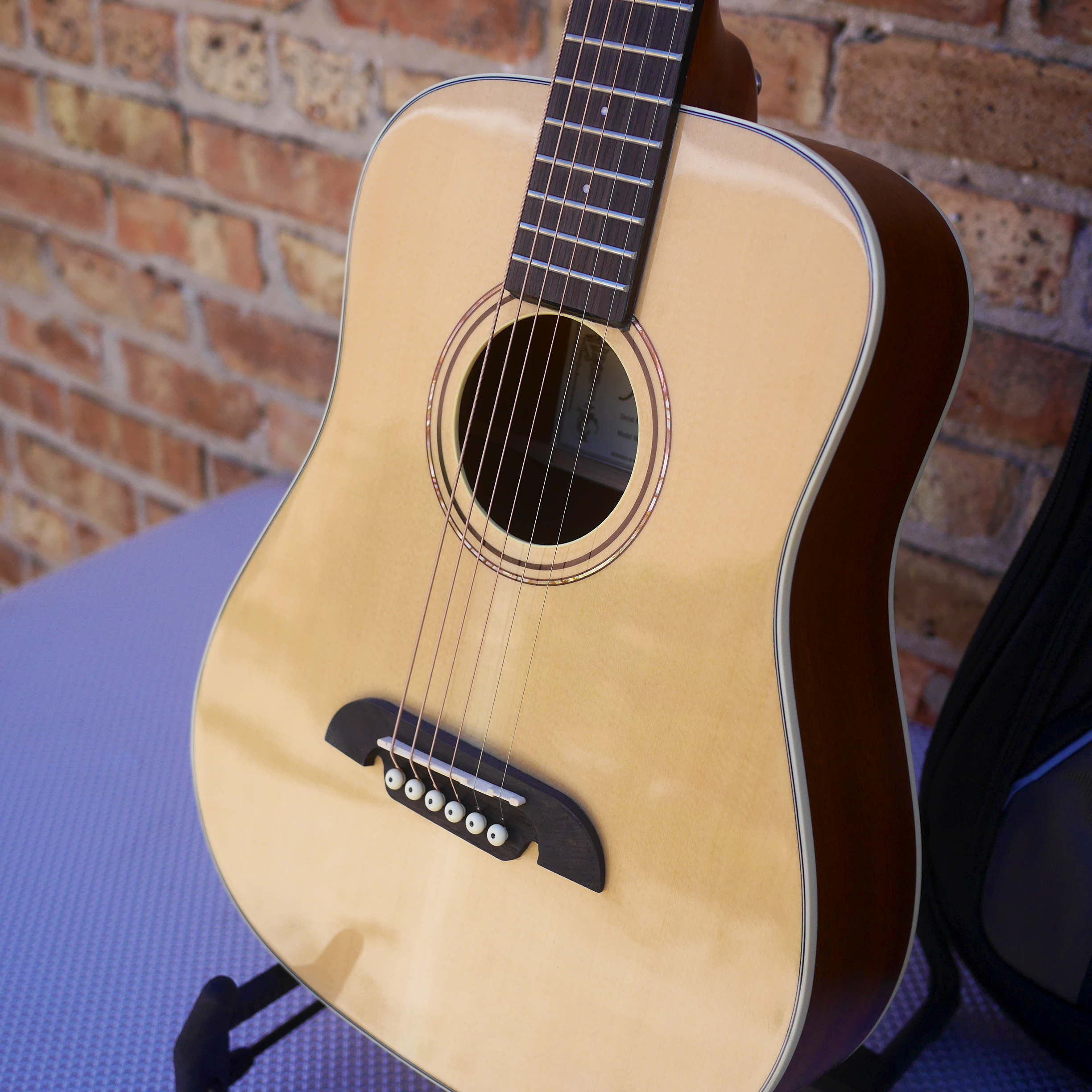 Alvarez Regent Travel Sized Dreadnought w/Deluxe Gig bag