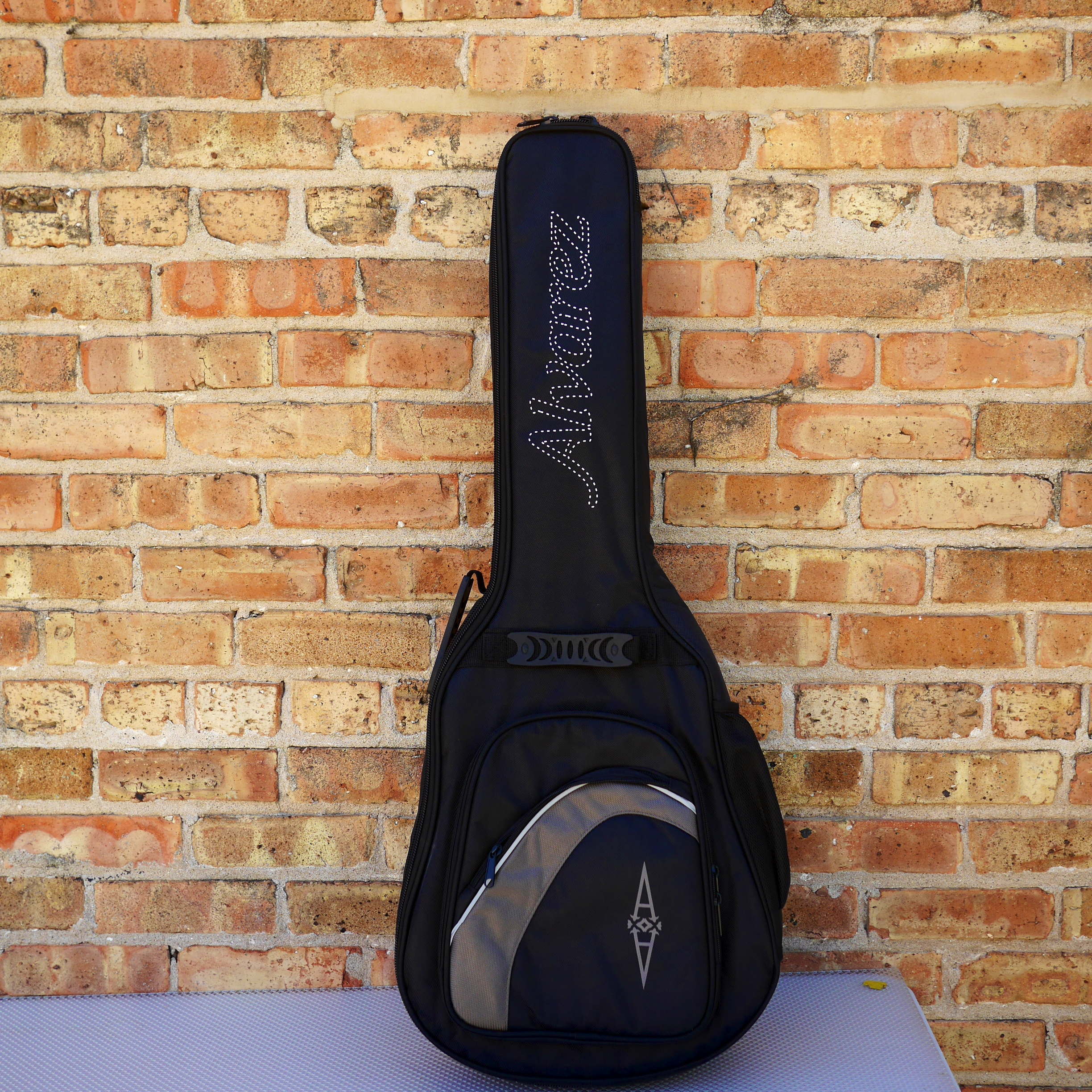 Alvarez Regent Travel Sized Dreadnought w/Deluxe Gig bag