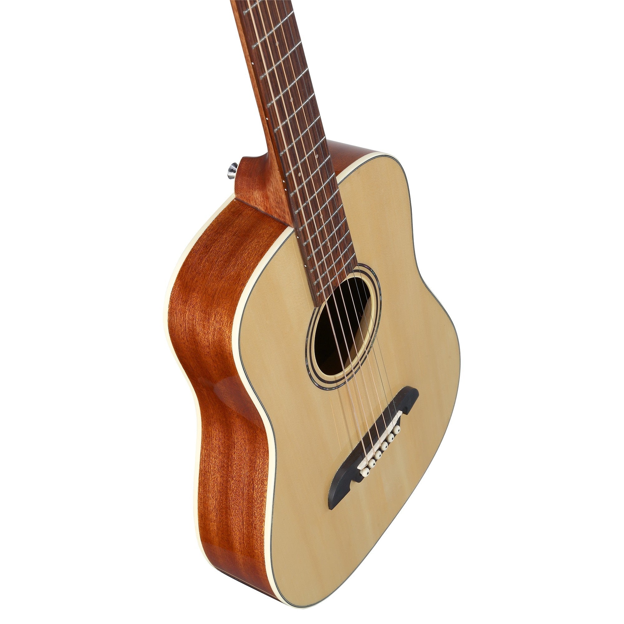 Alvarez Regent Travel Sized Dreadnought w/Deluxe Gig bag