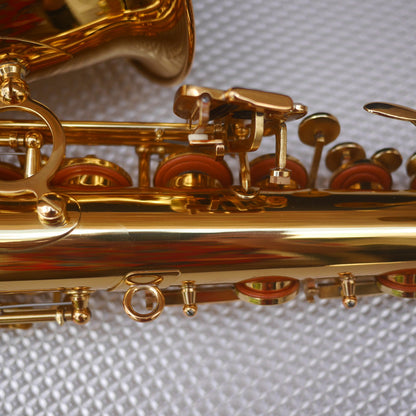 Buescher BU-4 Student Alto Saxophone New Old Stock 2000s Mint
