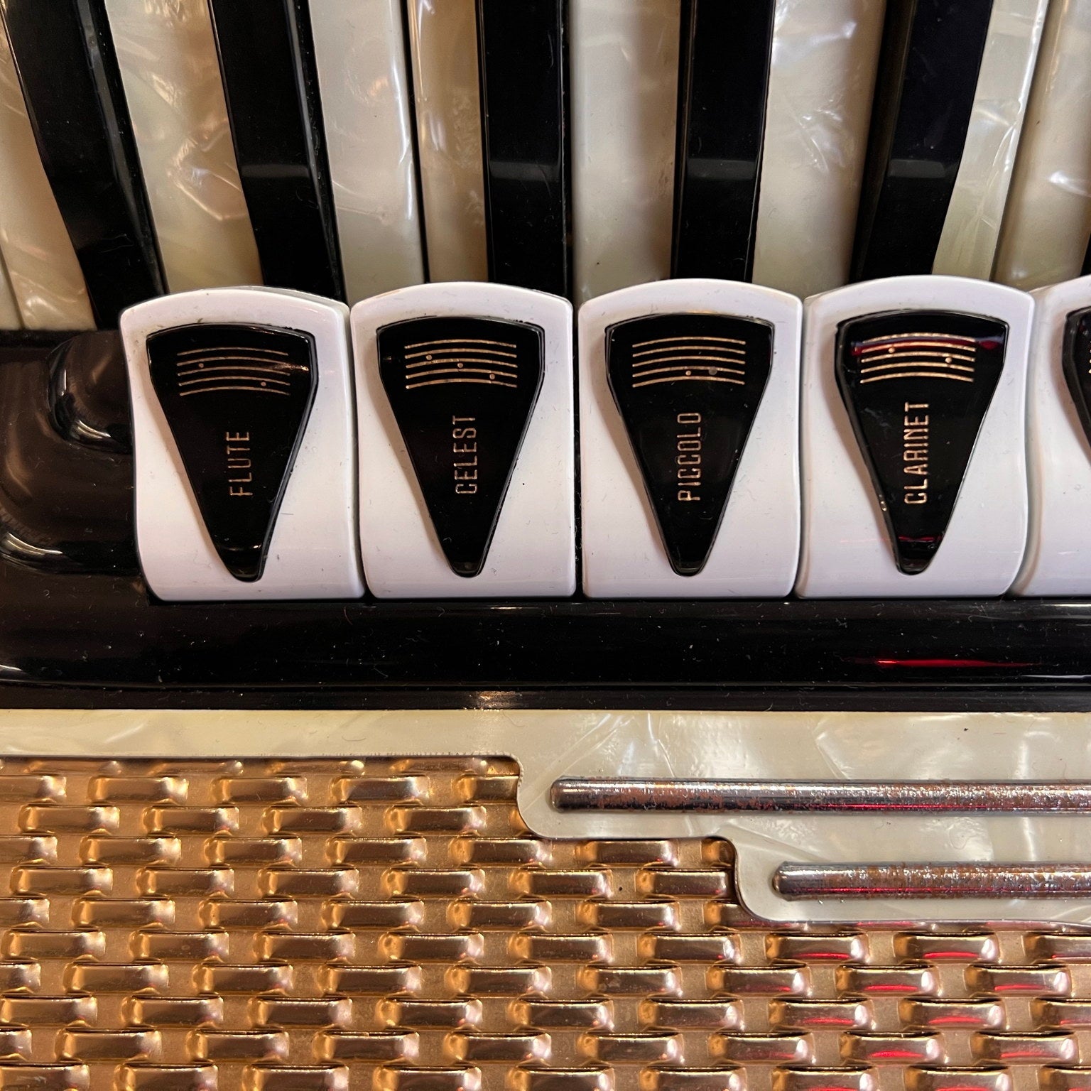 Carbonari Piano Accordion Italy Black & White