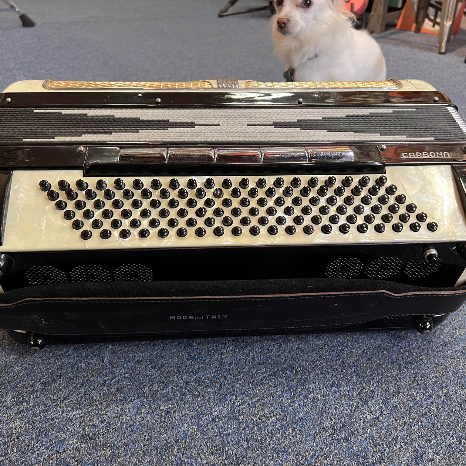 Carbonari Piano Accordion Italy Black & White
