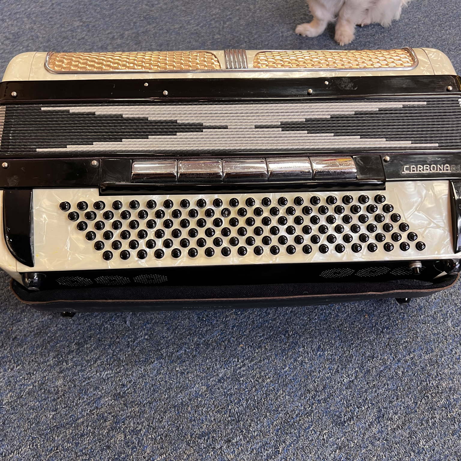 Carbonari Piano Accordion Italy Black & White