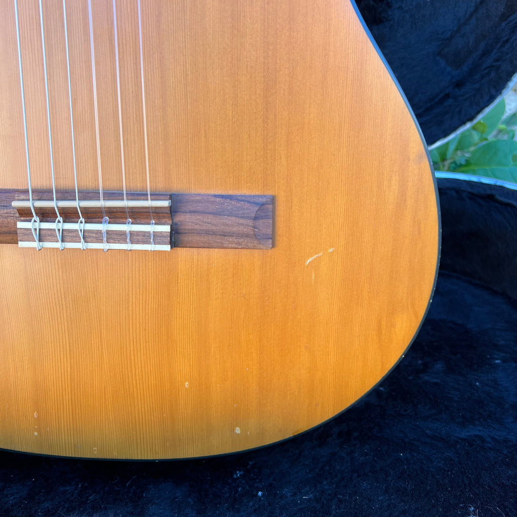 Cordoba CP110 Classical Guitar w/Hard Shell Case Used