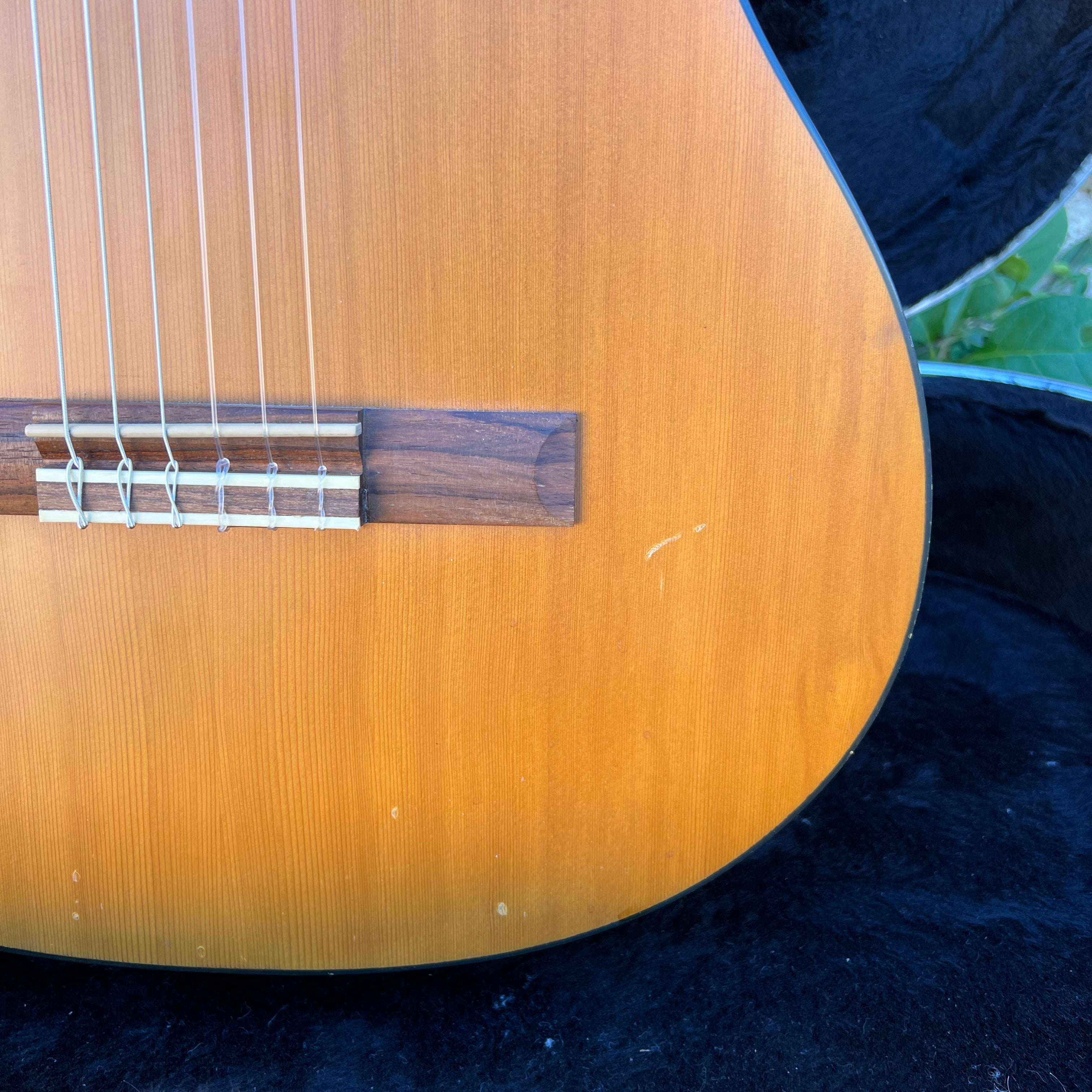 Cordoba CP110 Classical Guitar w/Hard Shell Case Used