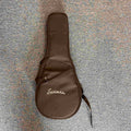 Eastman Mandolin Case black (used)