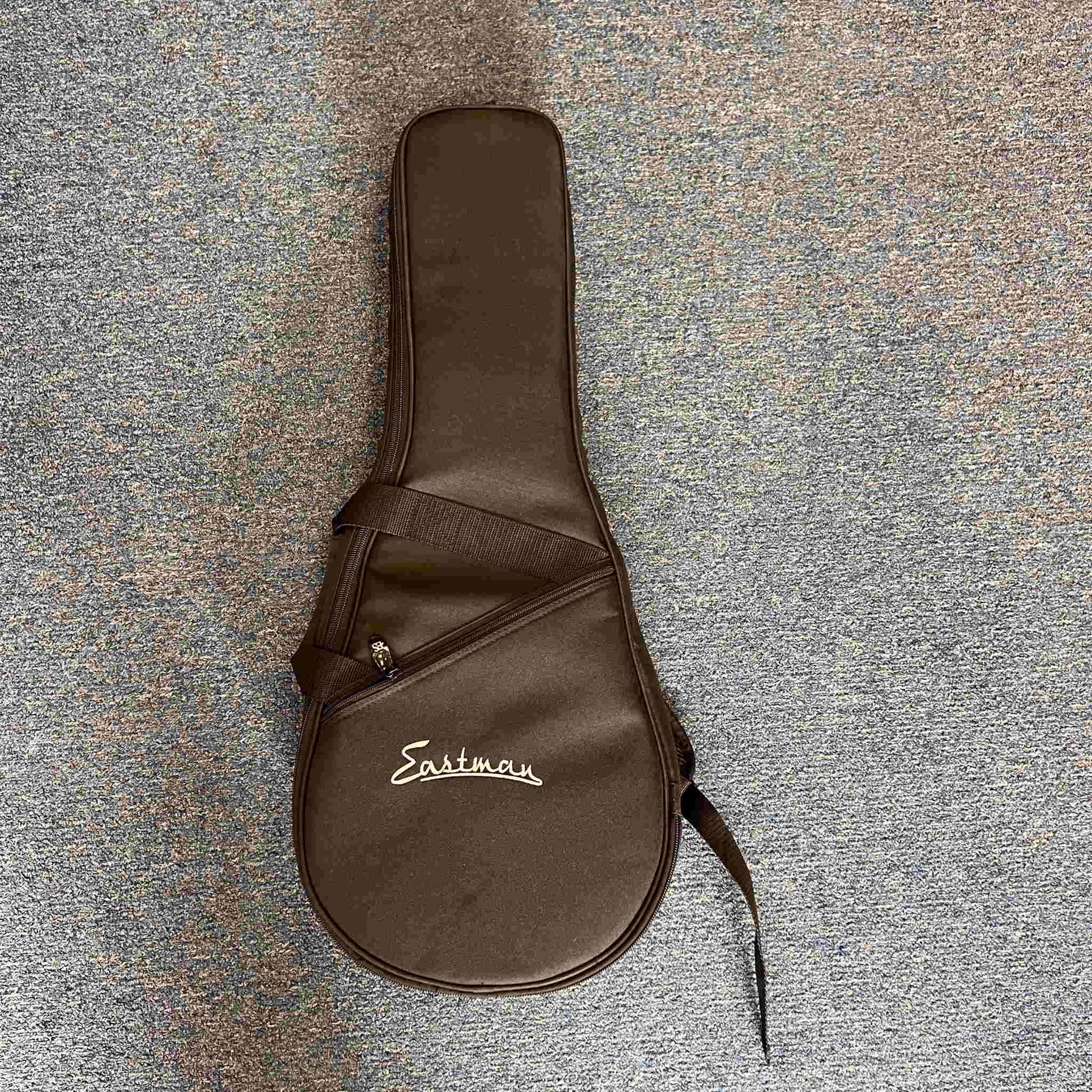 Eastman Mandolin Case black (used)