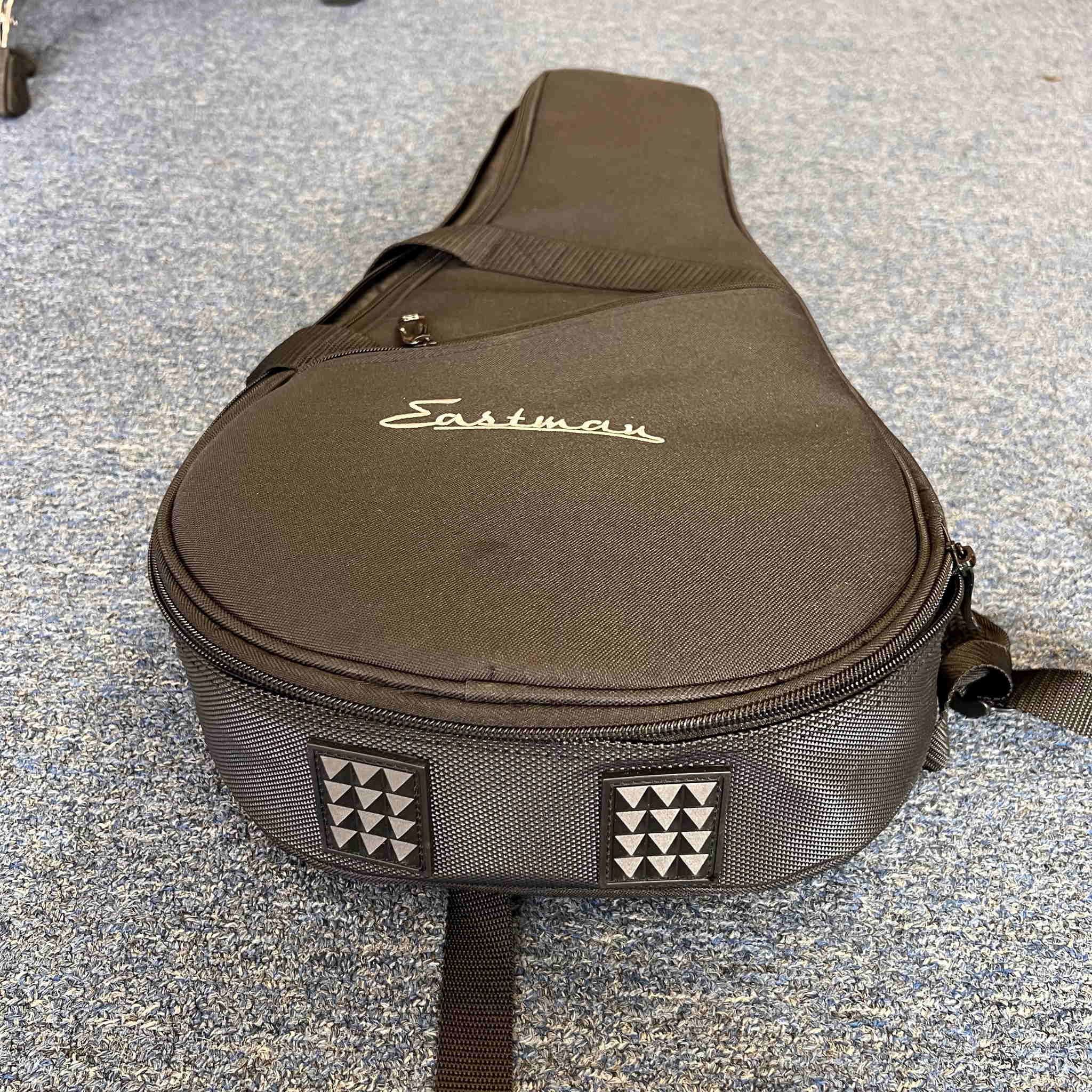 Eastman Mandolin Case black (used)