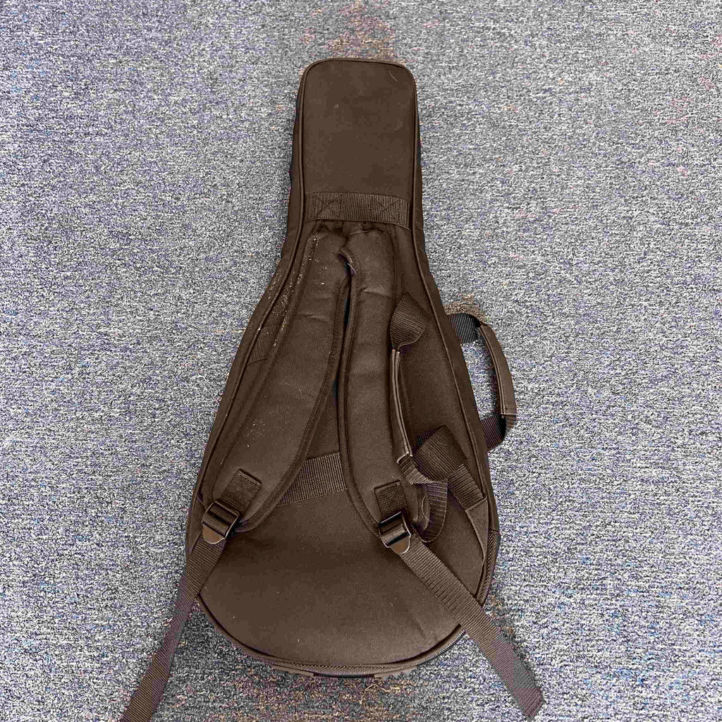 Eastman Mandolin Case black (used)