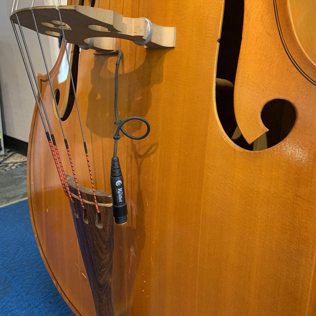 Engelhardt M1 DoubleBass with Bag 2 bows