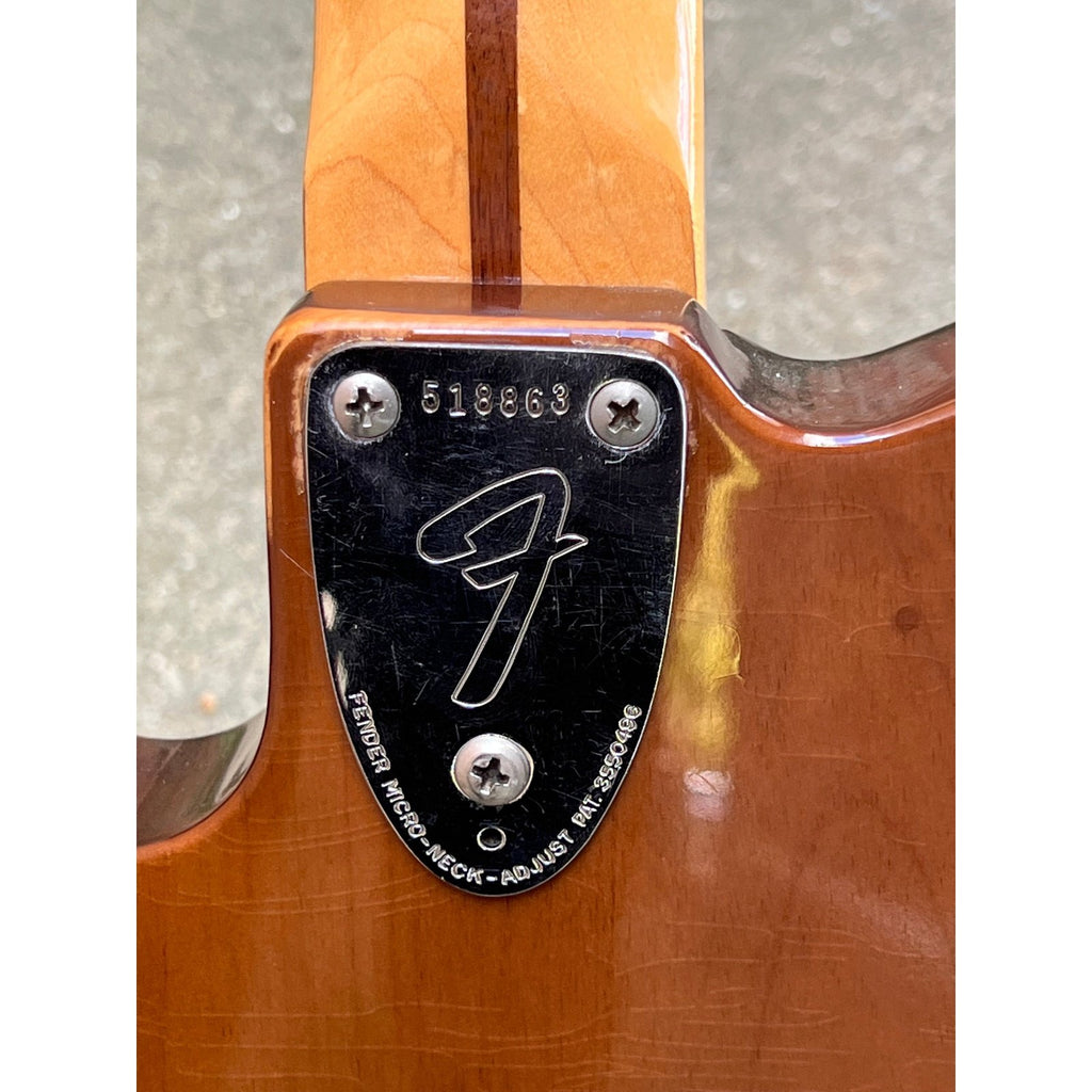 Fender Telecaster Custom Bigsby Electric Guitar Mocha (Walnut)  1973-1974