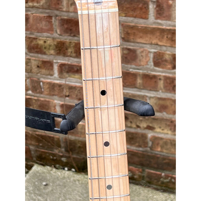 Fender Telecaster Pink Paisley 2001 Japan