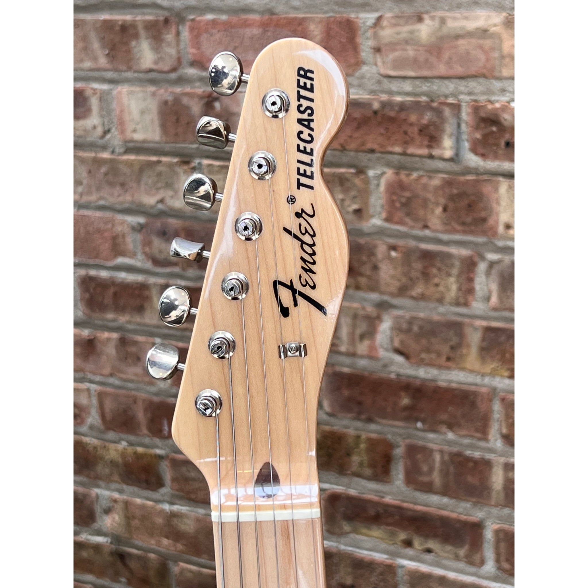 Fender Telecaster Pink Paisley 2001 Japan