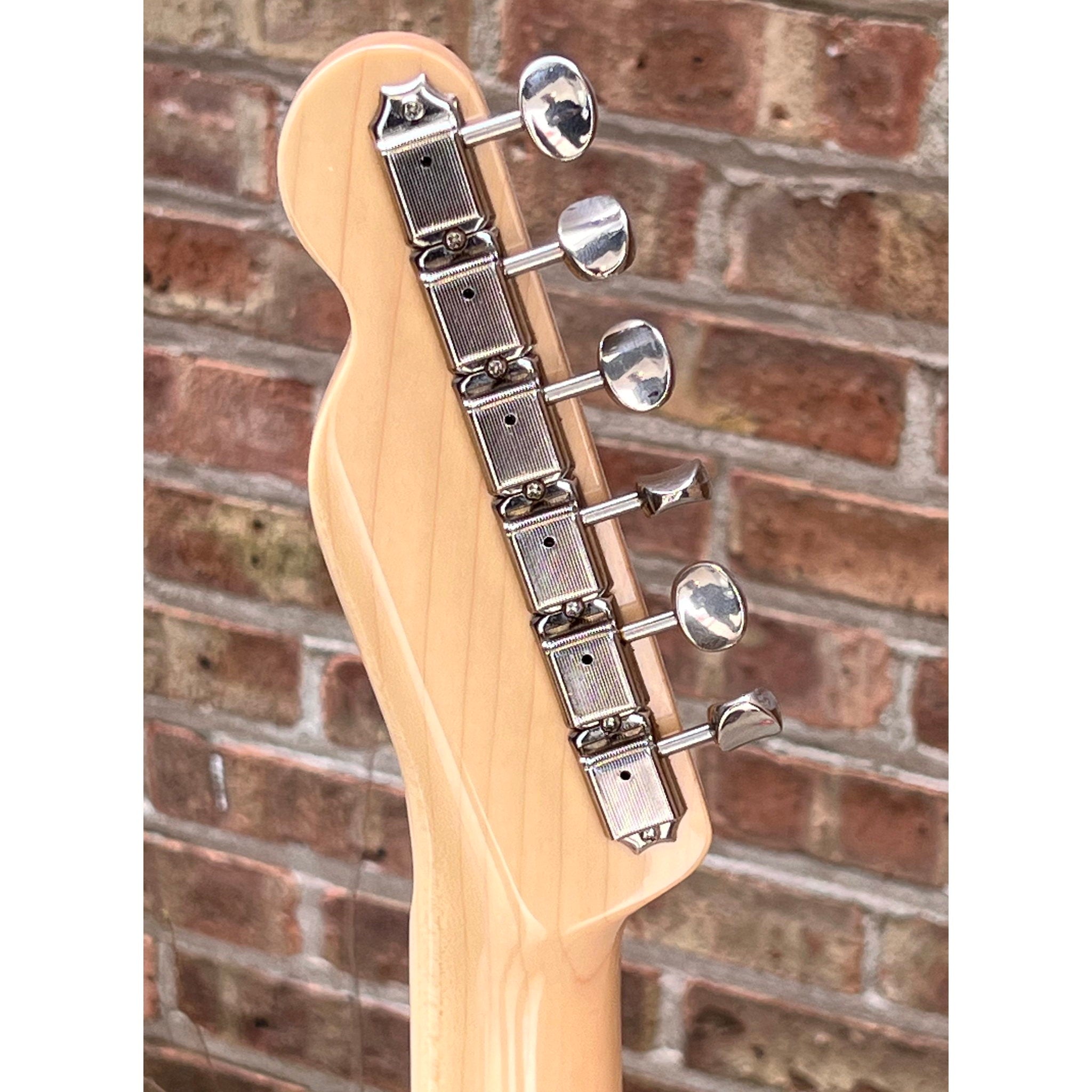 Fender Telecaster Pink Paisley 2001 Japan