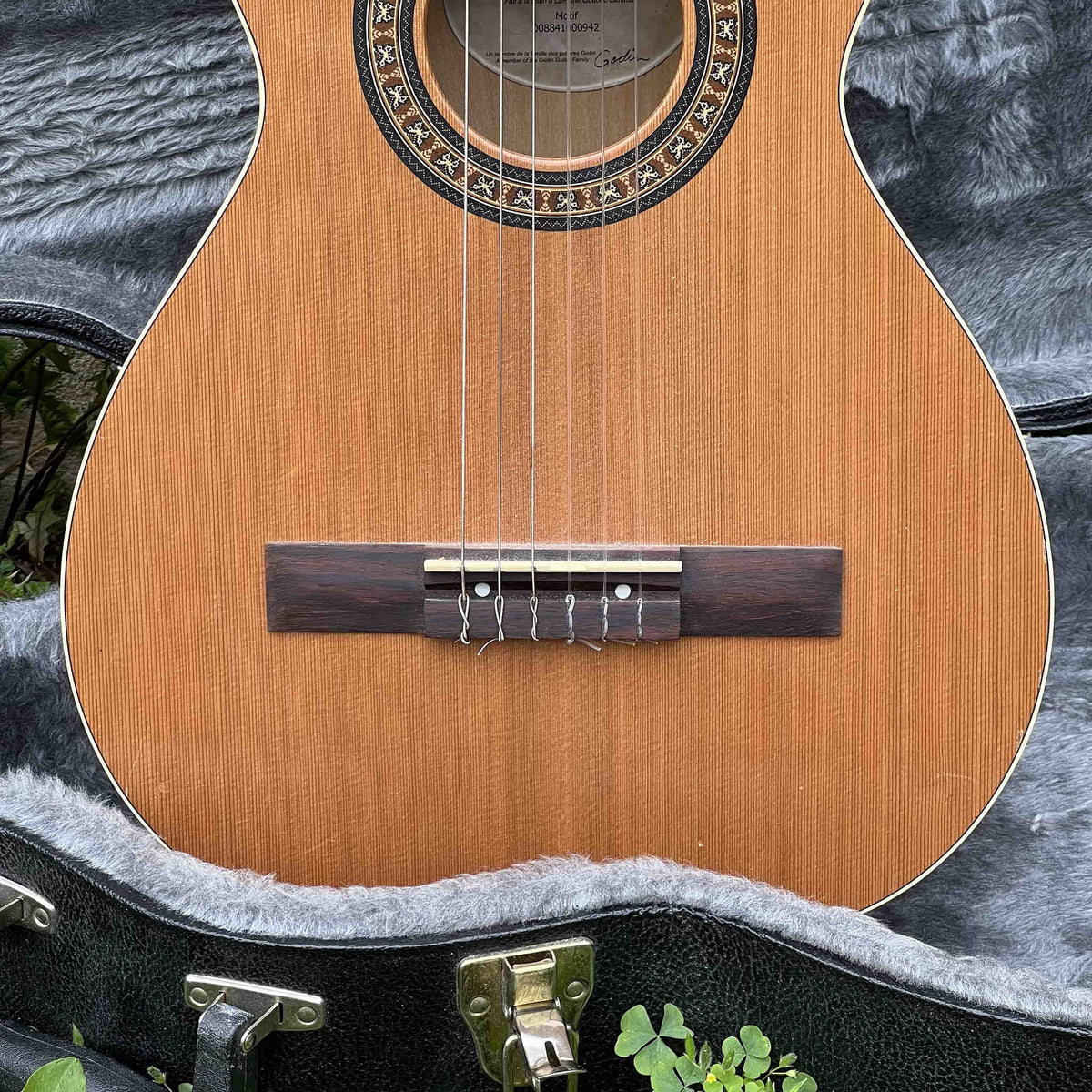 Godin La Patrie Motif Classical Guitar w/Hard Shell Case