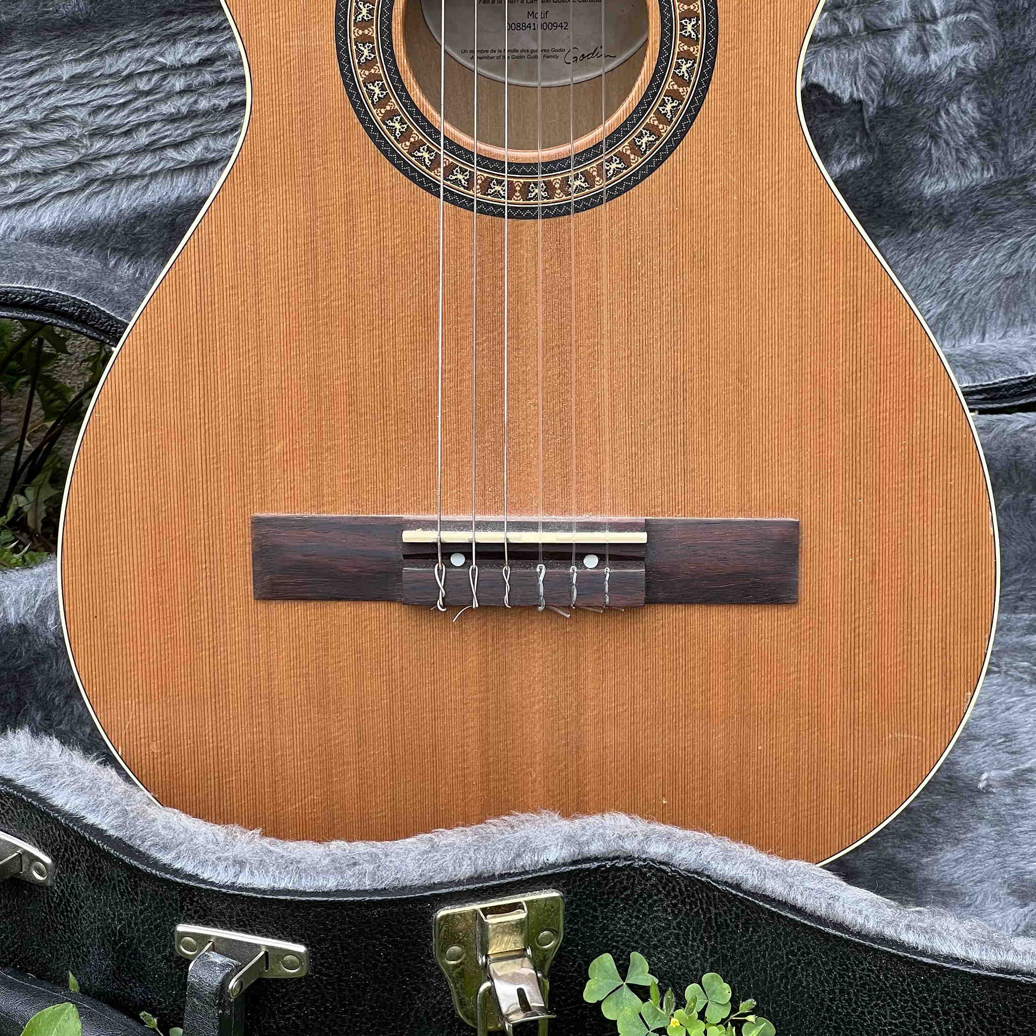 Godin La Patrie Motif Classical Guitar w/Hard Shell Case