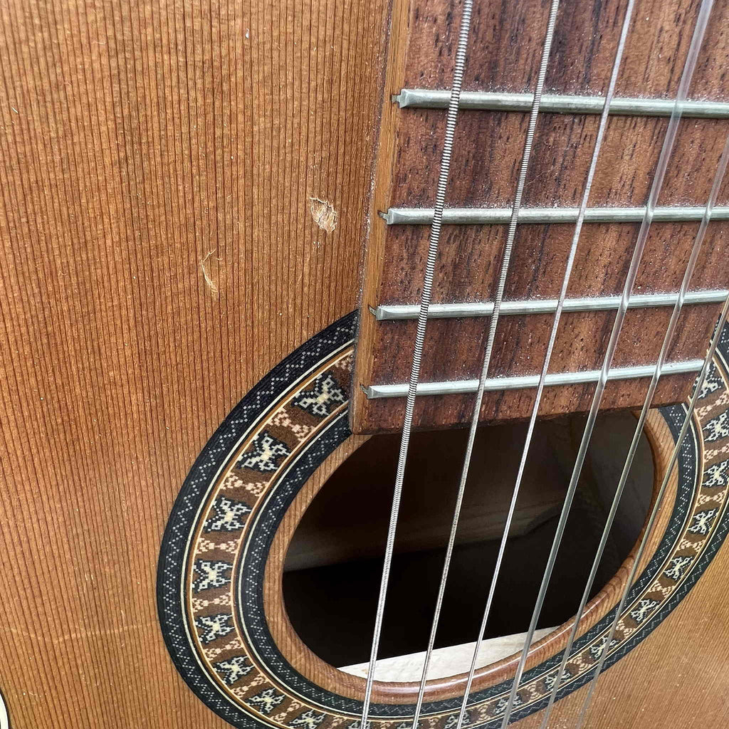 Godin La Patrie Motif Classical Guitar w/Hard Shell Case