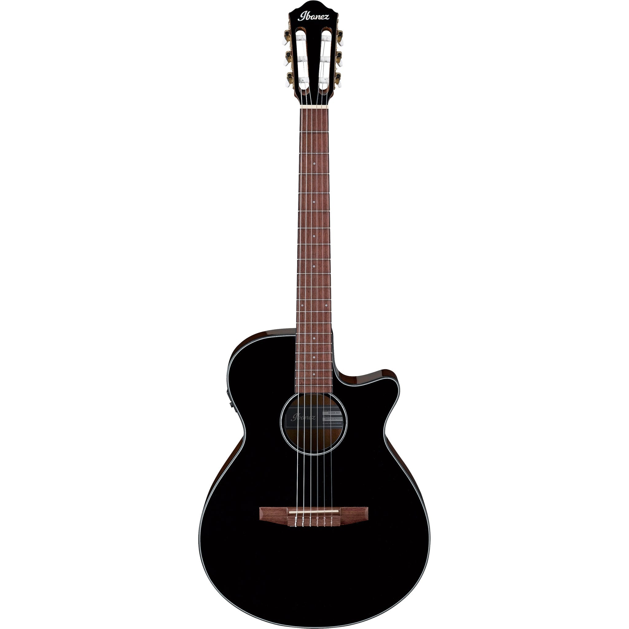 Ibanez AEG50NBKH Nylon String Acoustic-Electric Guitar - Black High Gloss
