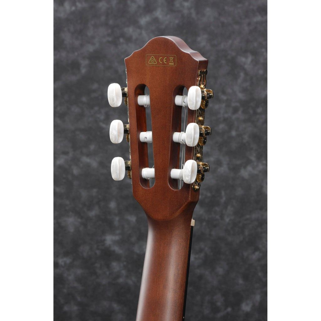 Ibanez AEG50NBKH Nylon String Acoustic-Electric Guitar - Black High Gloss