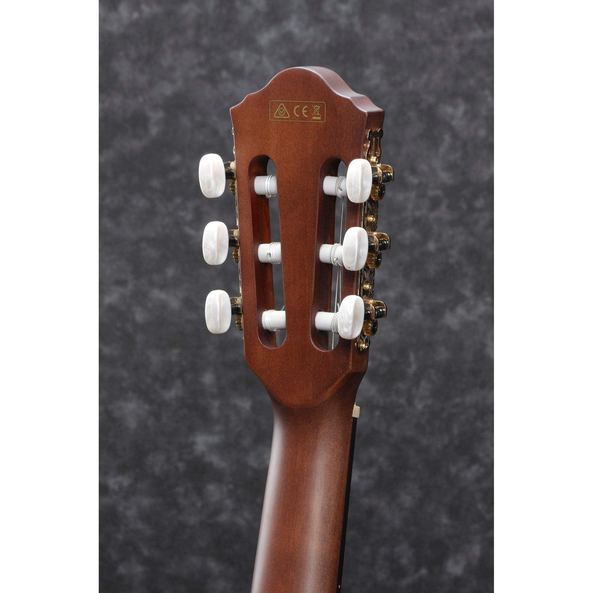 Ibanez AEG50NBKH Nylon String Acoustic-Electric Guitar - Black High Gloss