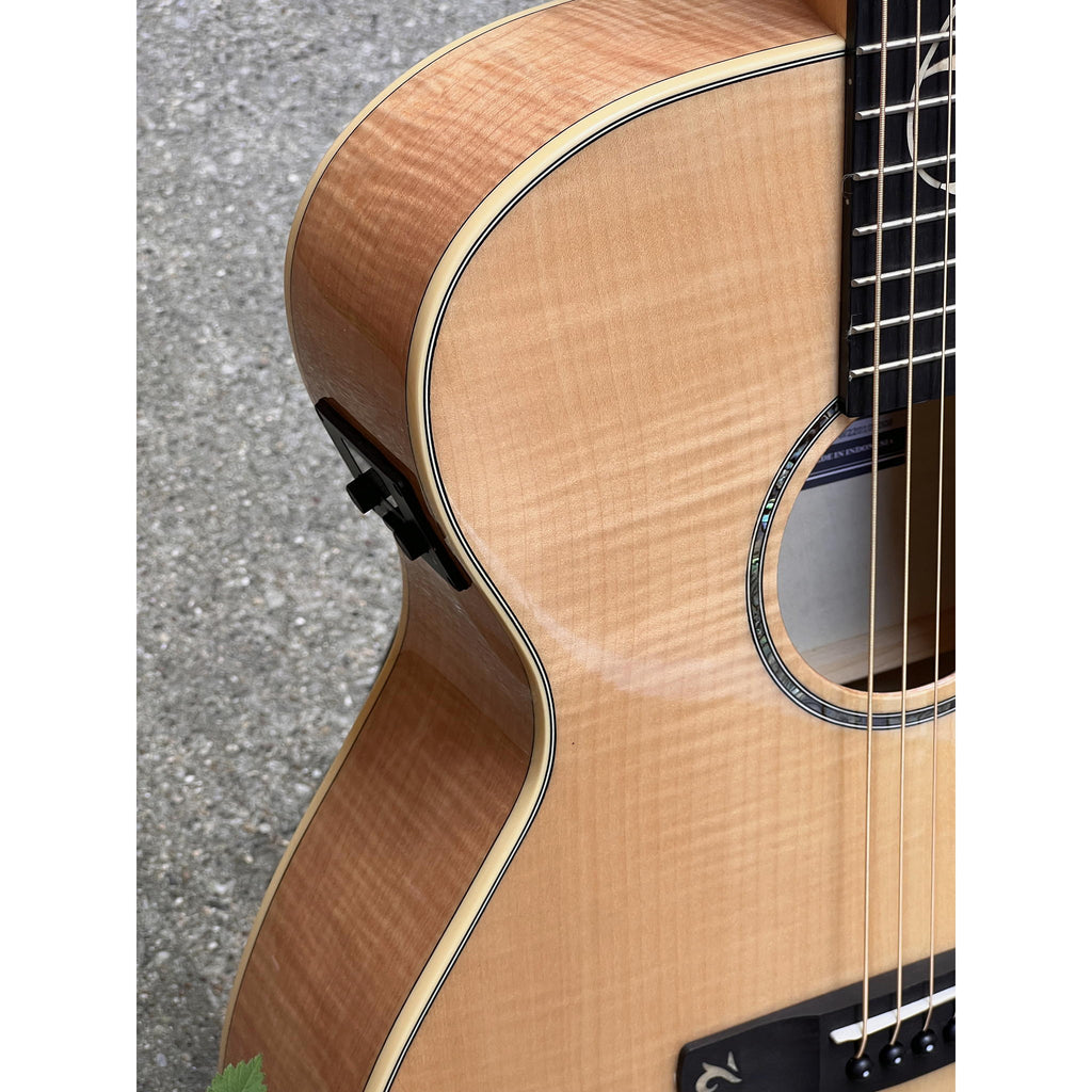 Ibanez AEG750 AEG Acoustic-Electric Guitar - Natural