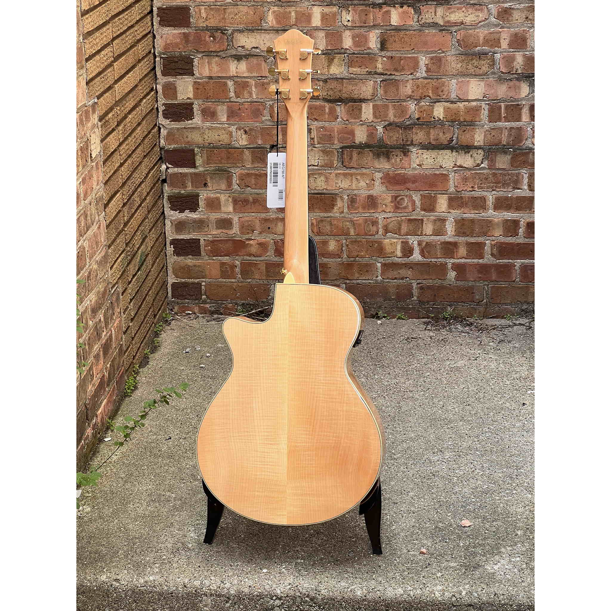 Ibanez AEG750 AEG Acoustic-Electric Guitar - Natural
