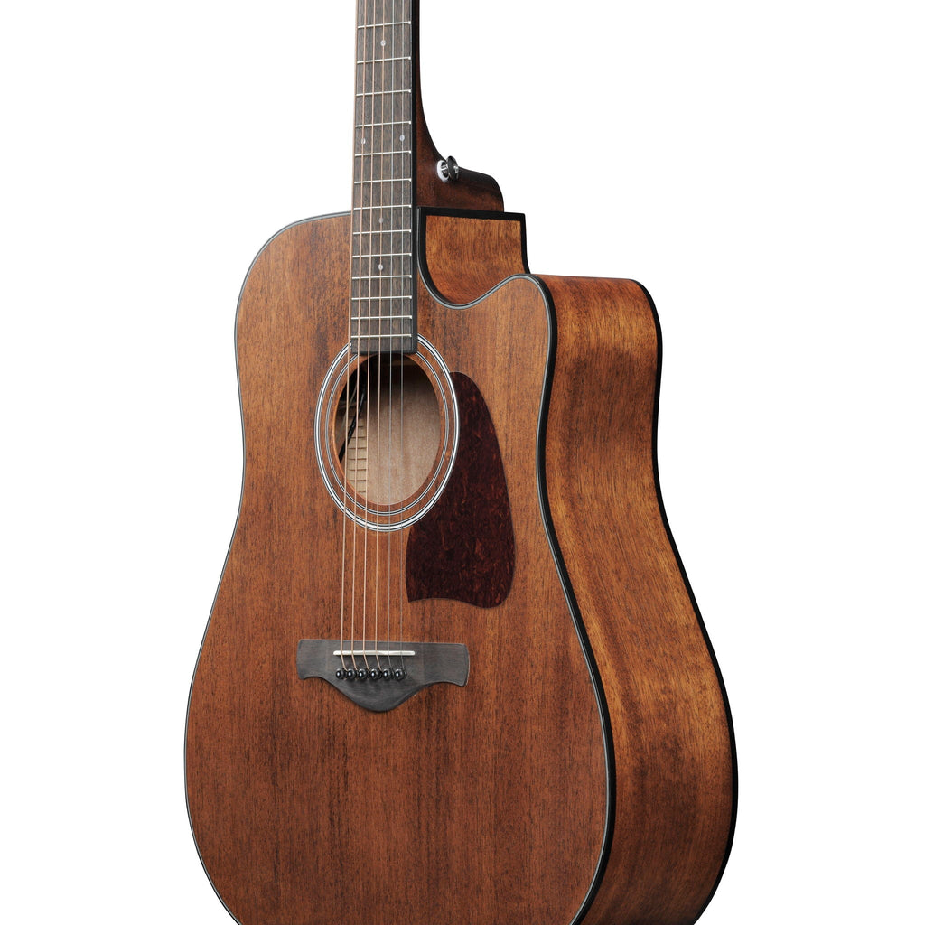 Ibanez AW54CE Acoustic-electric Guitar - Open Pore Natural