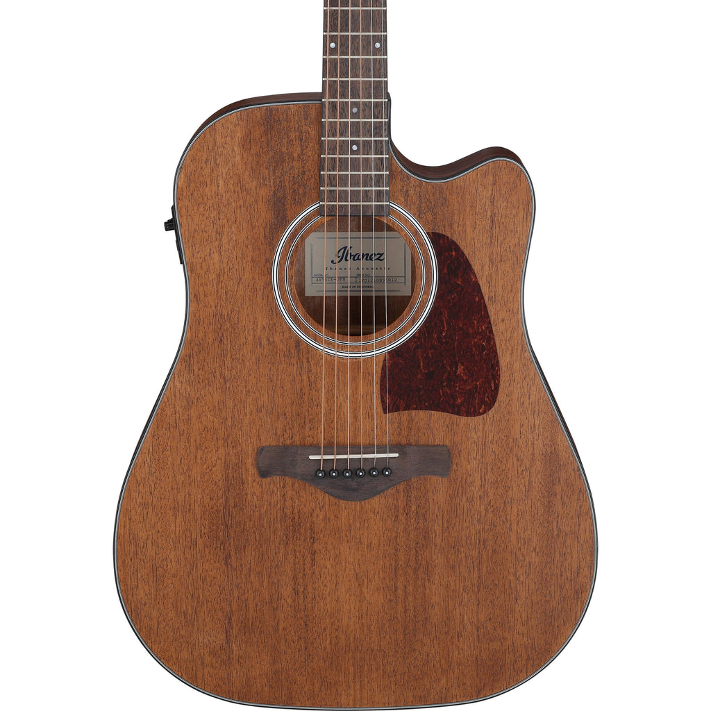 Ibanez AW54CE Acoustic-electric Guitar - Open Pore Natural