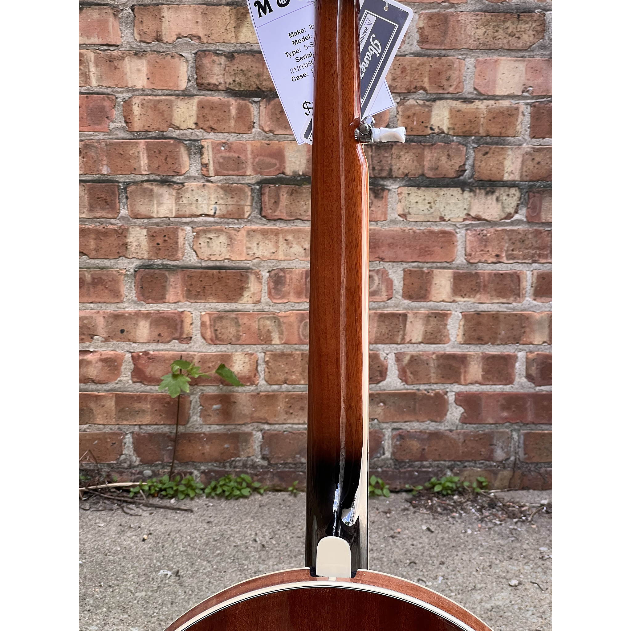 Ibanez B200 5-string Resonator Banjo