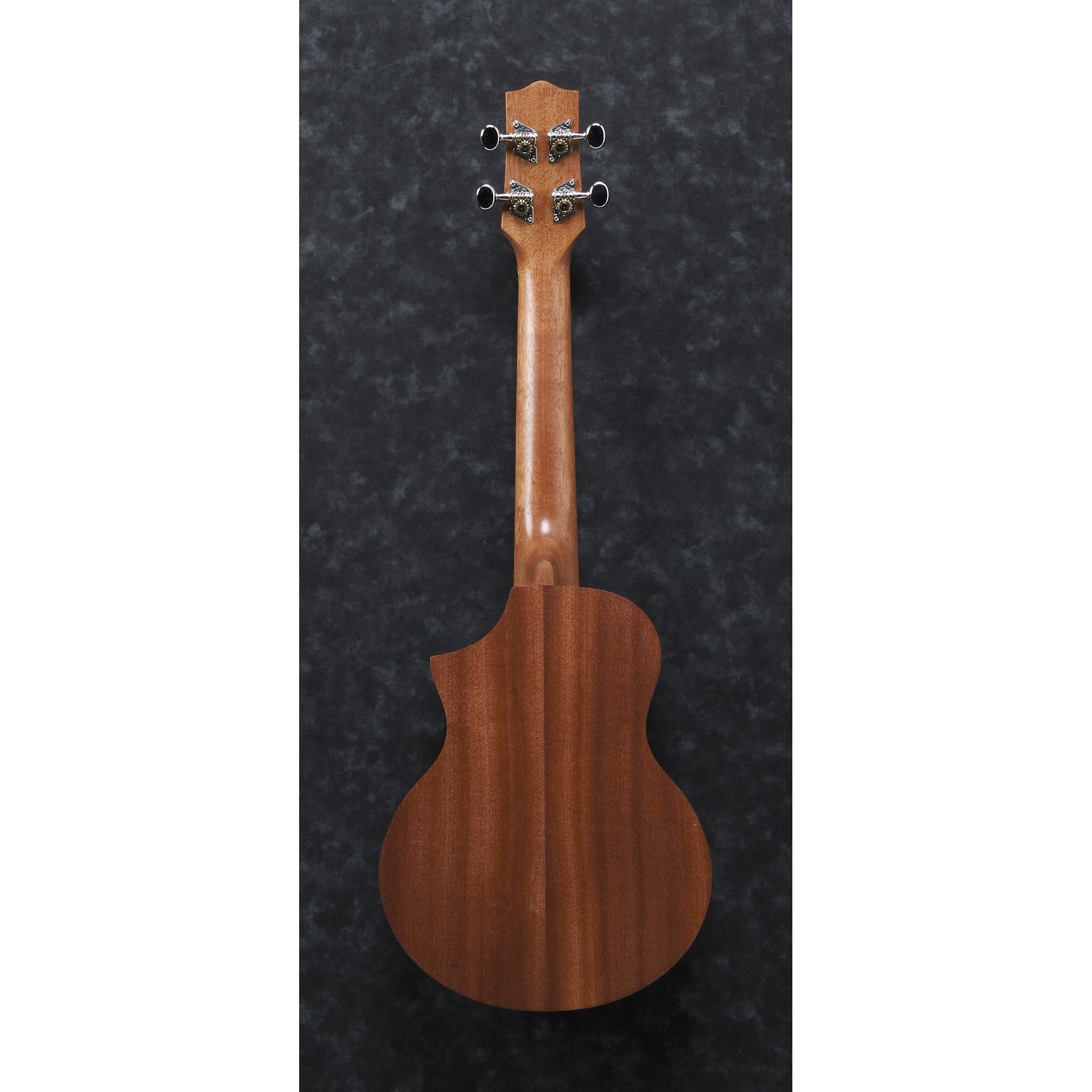 Ibanez UEW5 Concert Ukulele Open Pore Natural