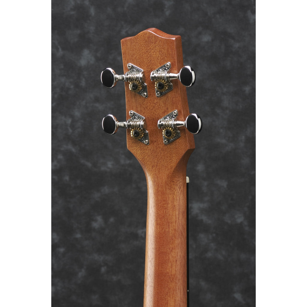 Ibanez UEW5 Concert Ukulele Open Pore Natural