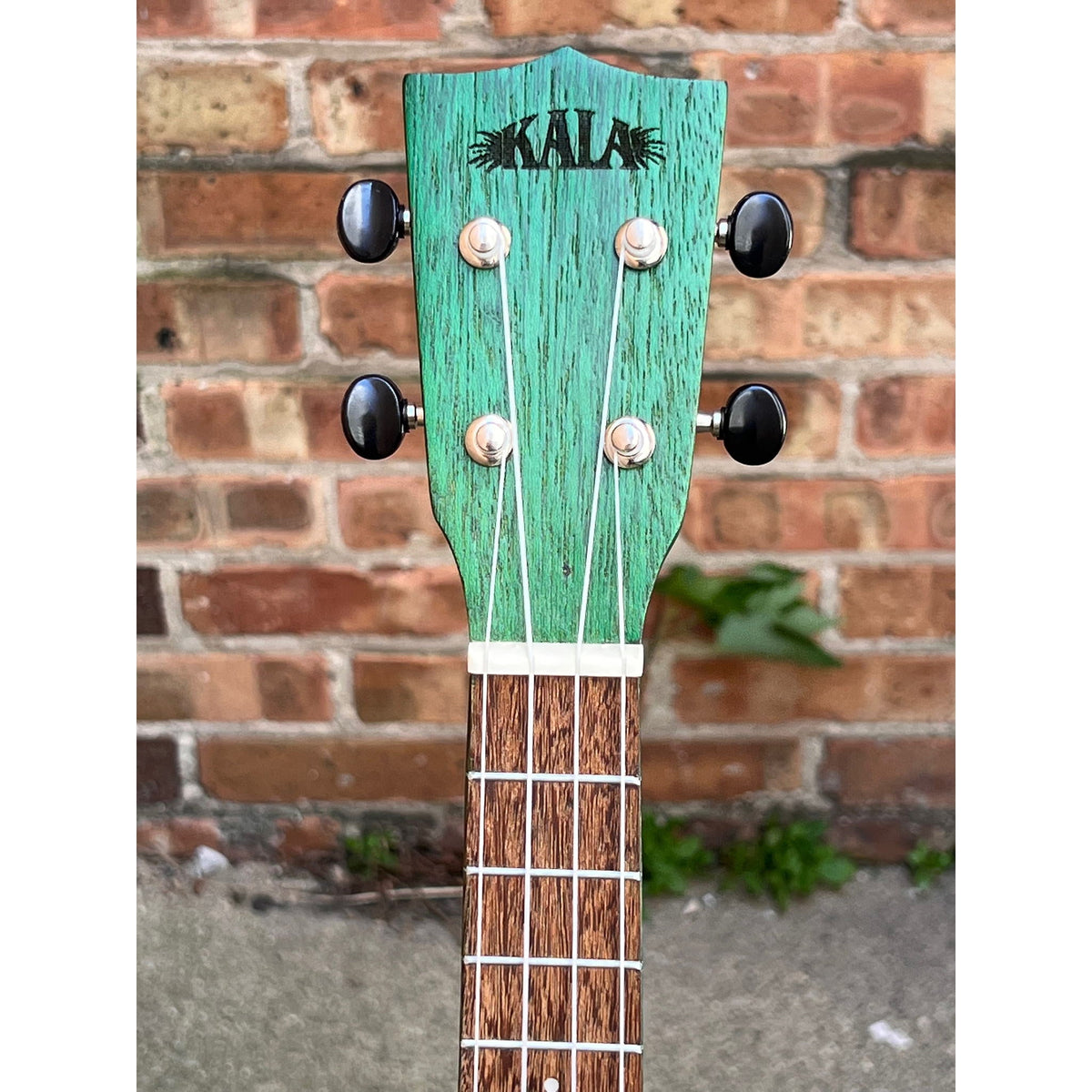 Kala Green Stained Meranti Concert Ukulele