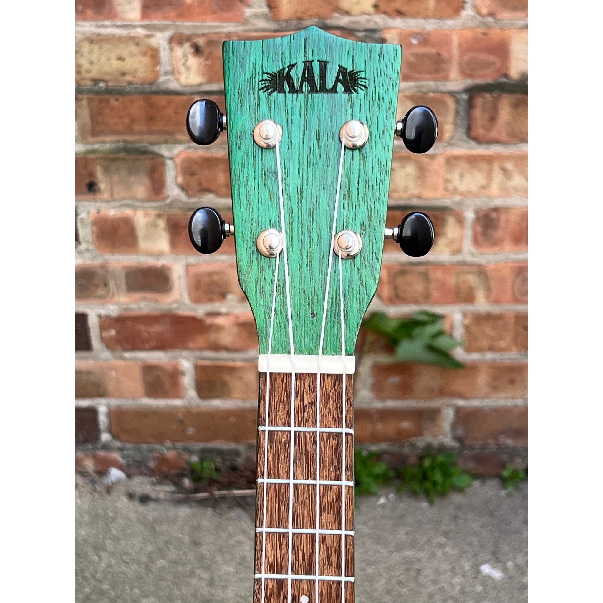 Kala Green Stained Meranti Concert Ukulele