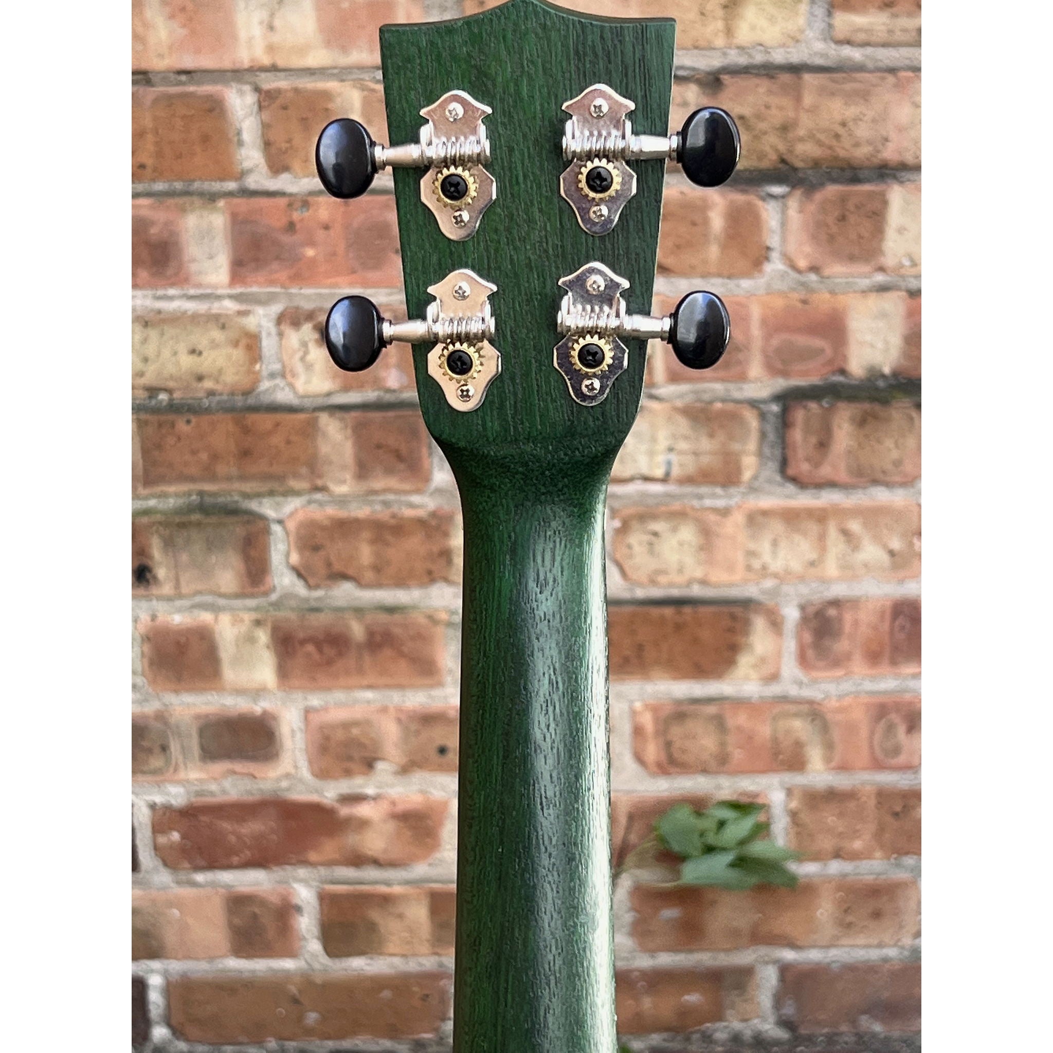 Kala Green Stained Meranti Concert Ukulele