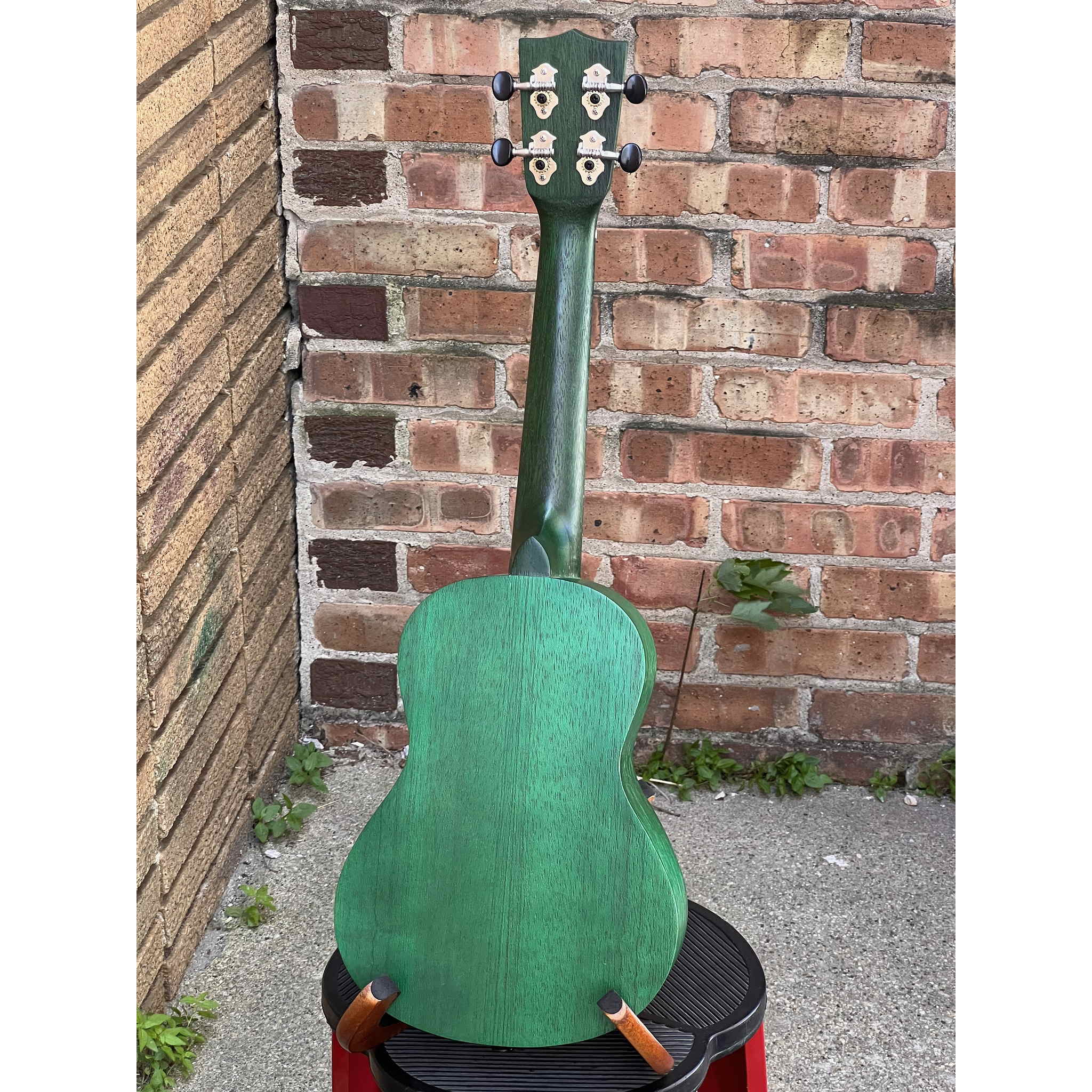 Kala Green Stained Meranti Concert Ukulele