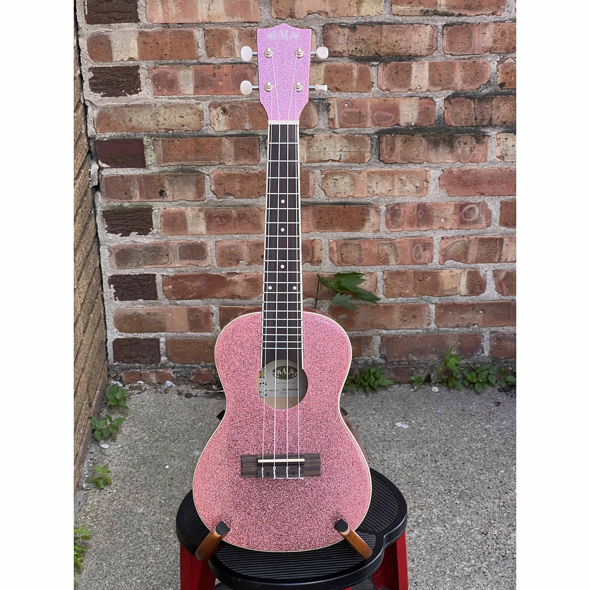 Kala Pink Champagne Sparkle Concert Ukulele