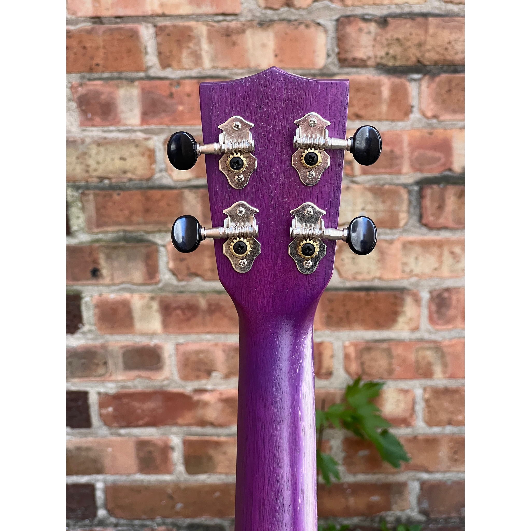 Kala Purple Stained Meranti Soprano Ukulele