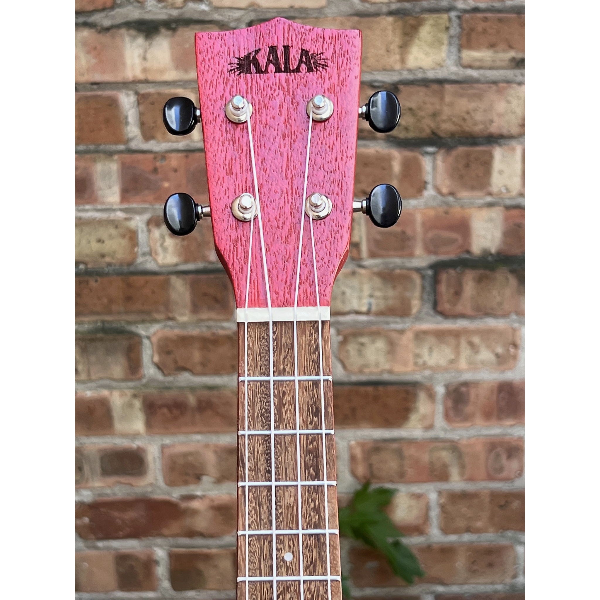 Kala Red Stained Meranti Concert Ukulele