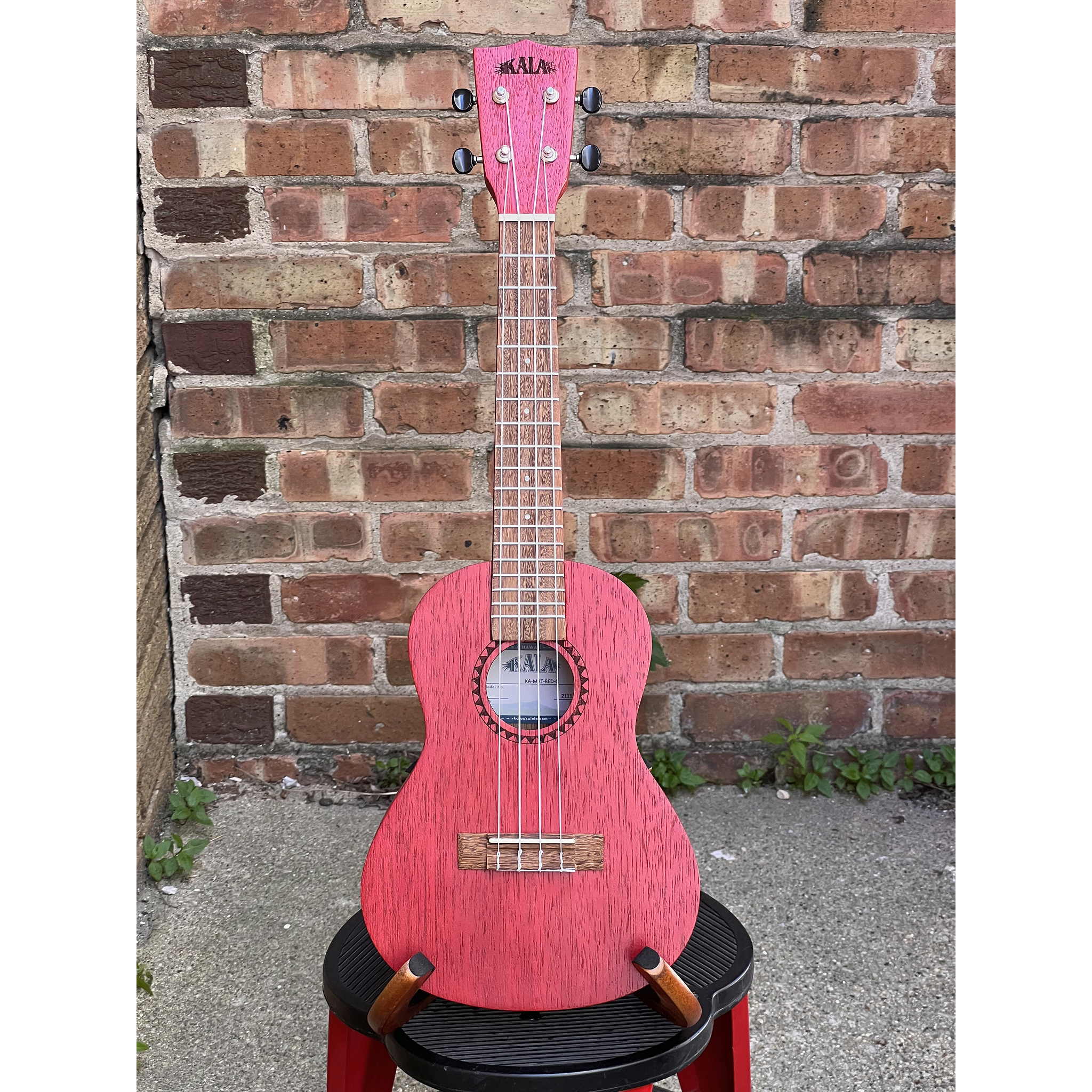 Kala Red Stained Meranti Concert Ukulele