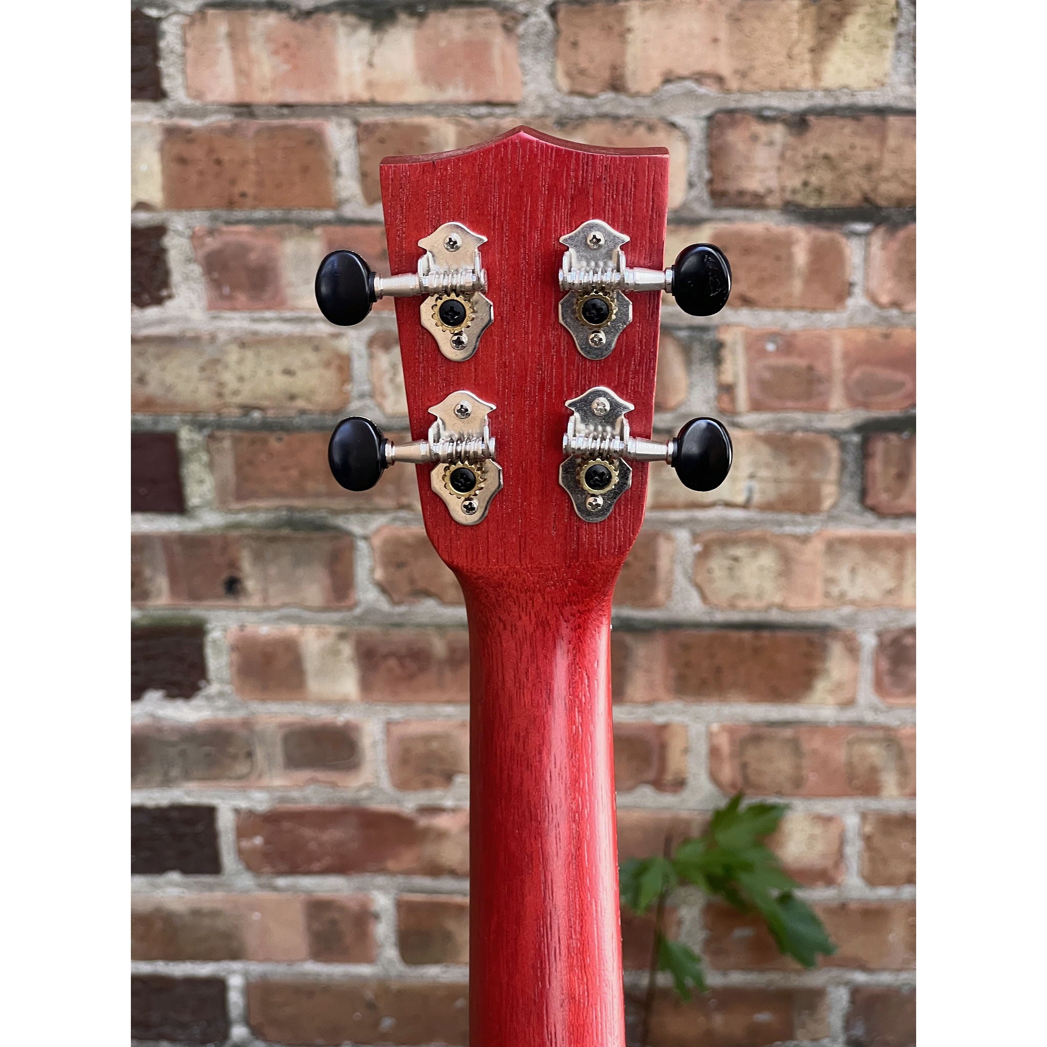Kala Red Stained Meranti Concert Ukulele
