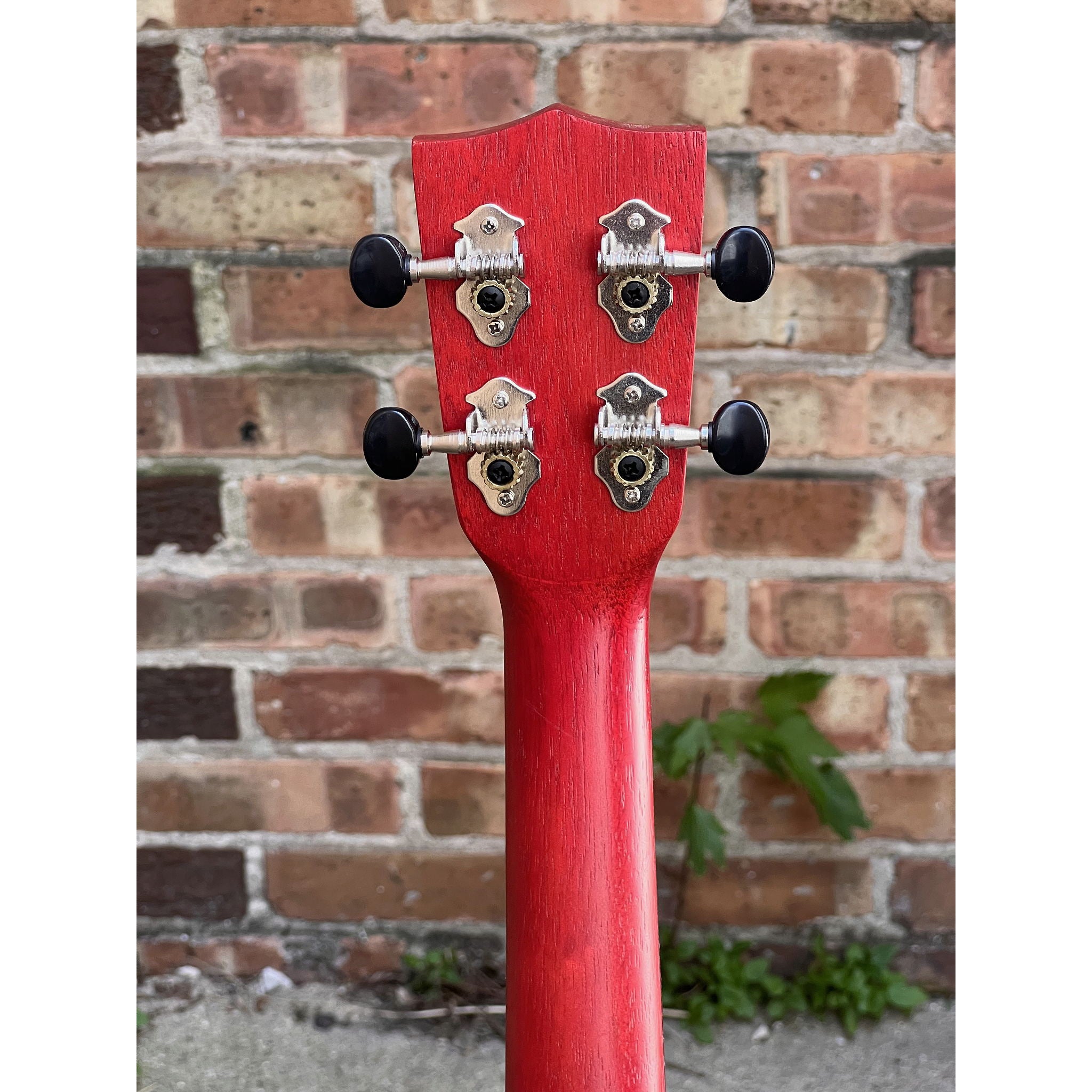 Kala Red Stained Meranti Soprano
