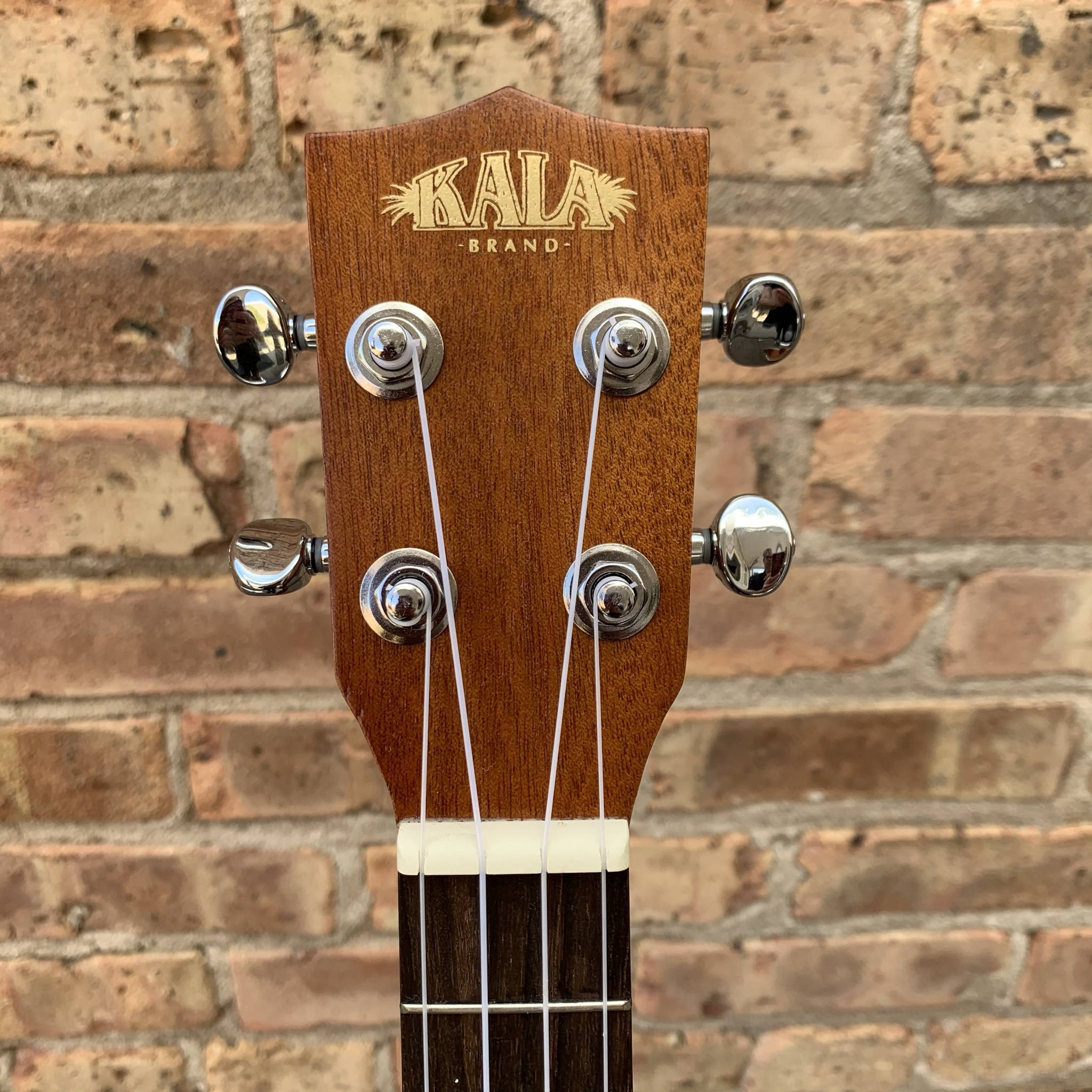 Kala Tenor Ukulele w/EQ Mahogany