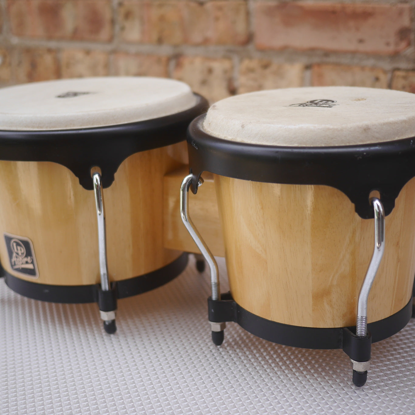 Latin Percussion Aspire Bongos (used)