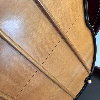 Luebeck Zither w/case Lake Geneva WIS. Vintage (used)